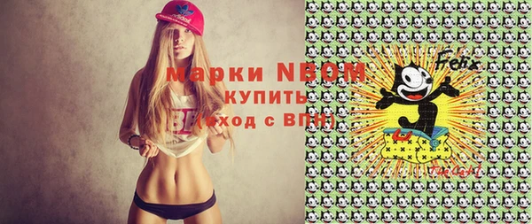 индика Абаза