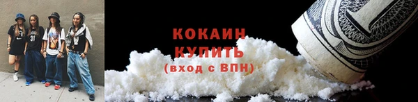 индика Абаза