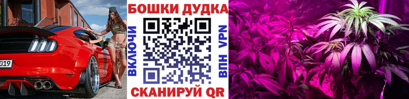 МАРИХУАНА Amnesia Новая Ладога
